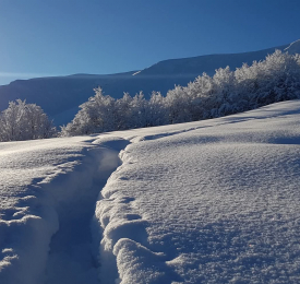 На празник в Априлци – Греяна ракия и сланина