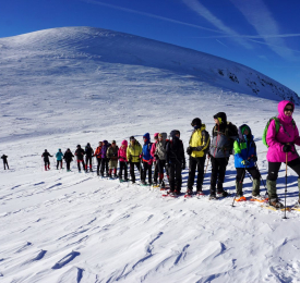 Връх Белмекен
