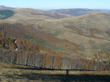 Гложка планина - Мечит