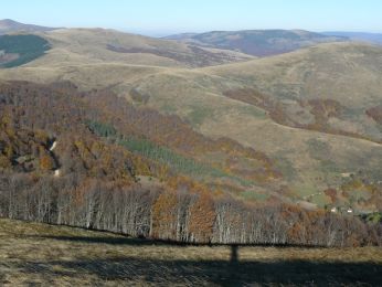 Гложка планина - Мечит