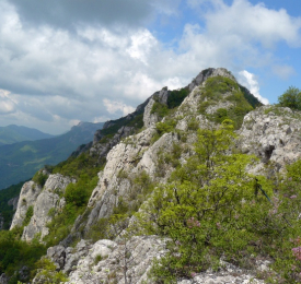 Гребен планина и  Погановски манастир  (Сърбия)