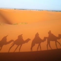 Мароко - от познавачи за ценители