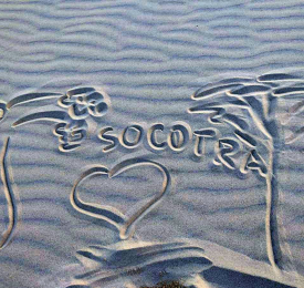 Сокотра - докосване до острова на блаженството