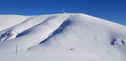 Зимен Ботев